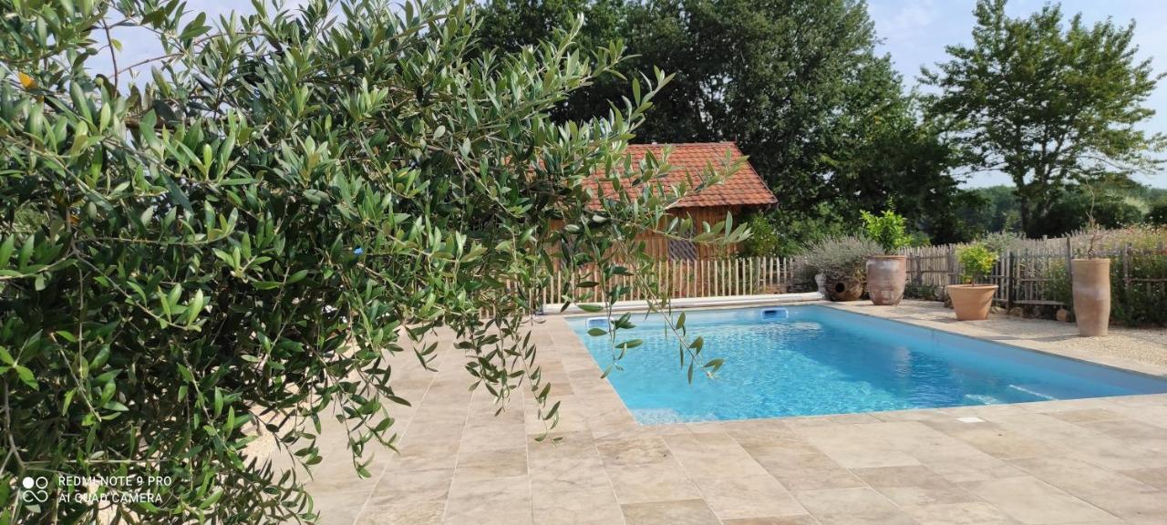 Britavit Bed & Breakfast Saint-Avit-Senieur Ngoại thất bức ảnh